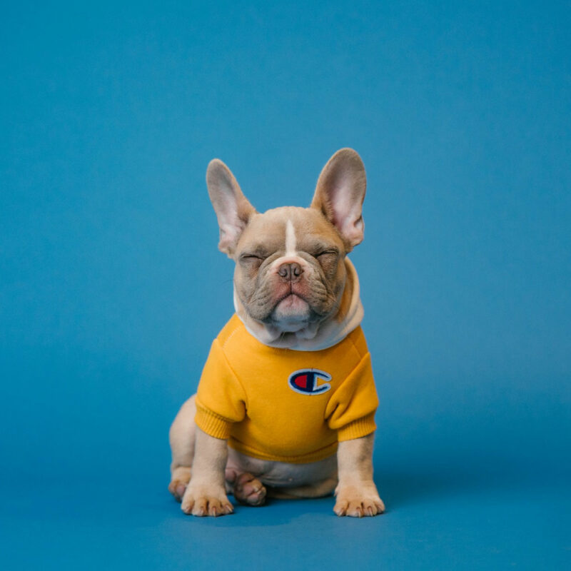 基督教宣道會華基堂社會服務